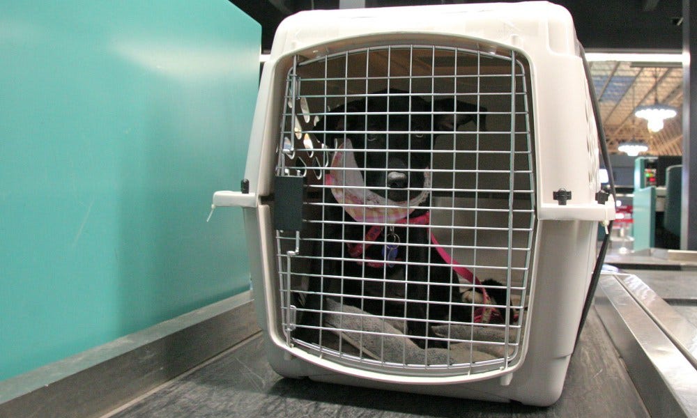 delta checked baggage